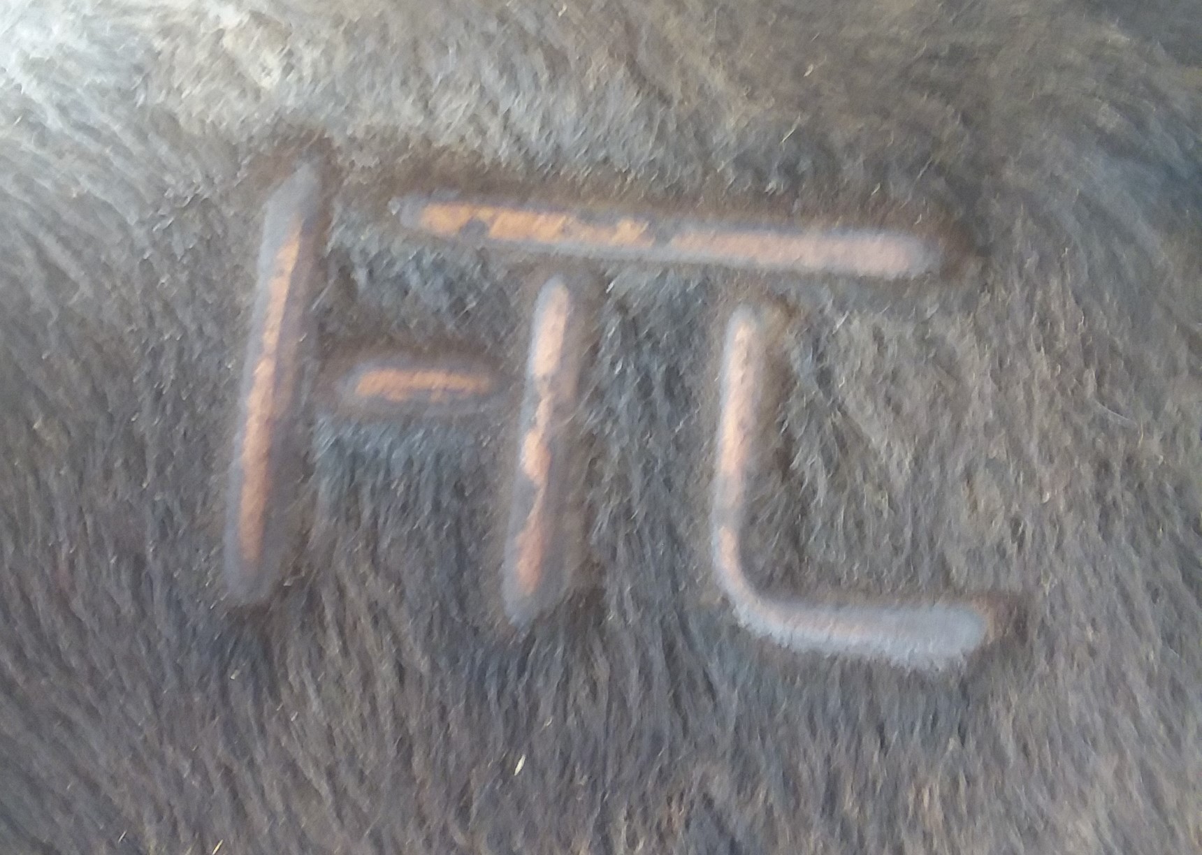 HTTL Livestock